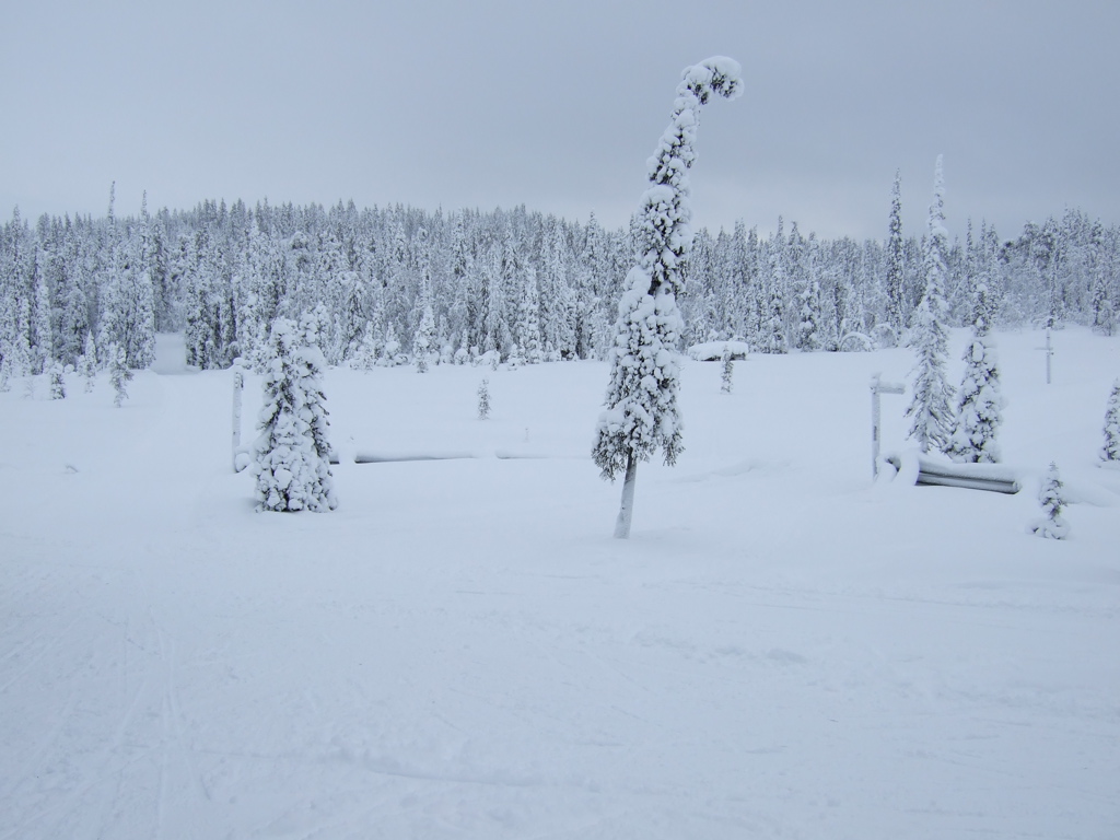 DSCF0227.JPG