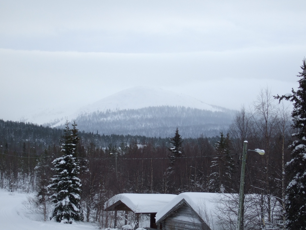 DSCF0229.JPG