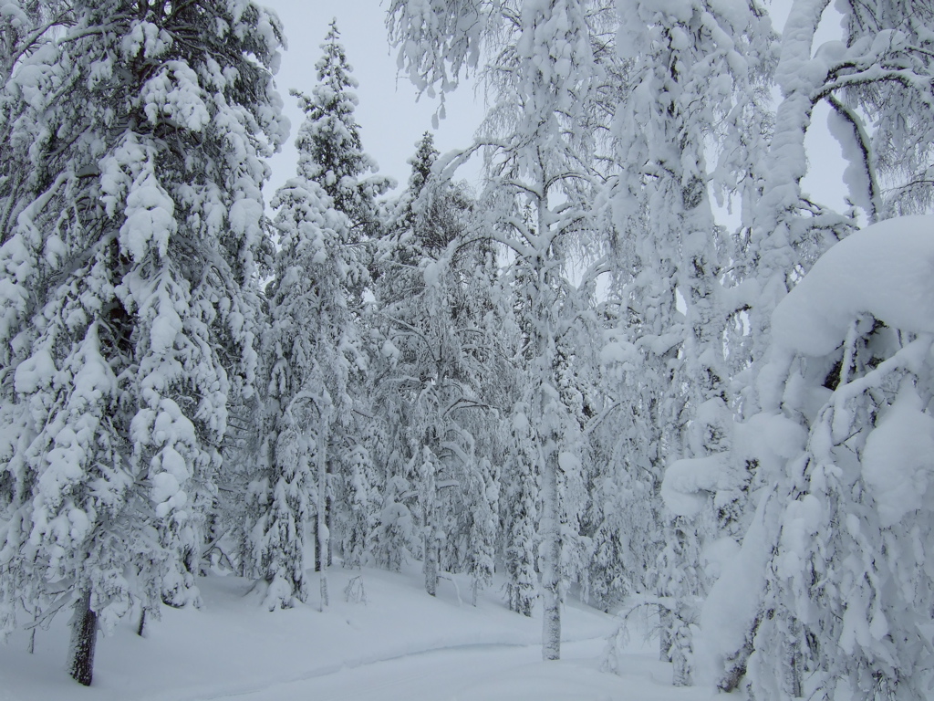 DSCF0220.JPG