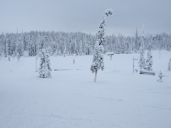 DSCF0227.JPG