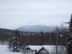 DSCF0229.JPG