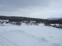 DSCF0230.JPG