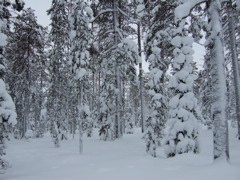 DSCF0215.JPG