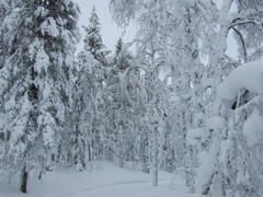 DSCF0220.JPG