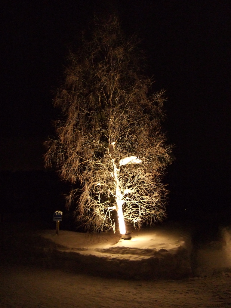 DSCF0247.JPG