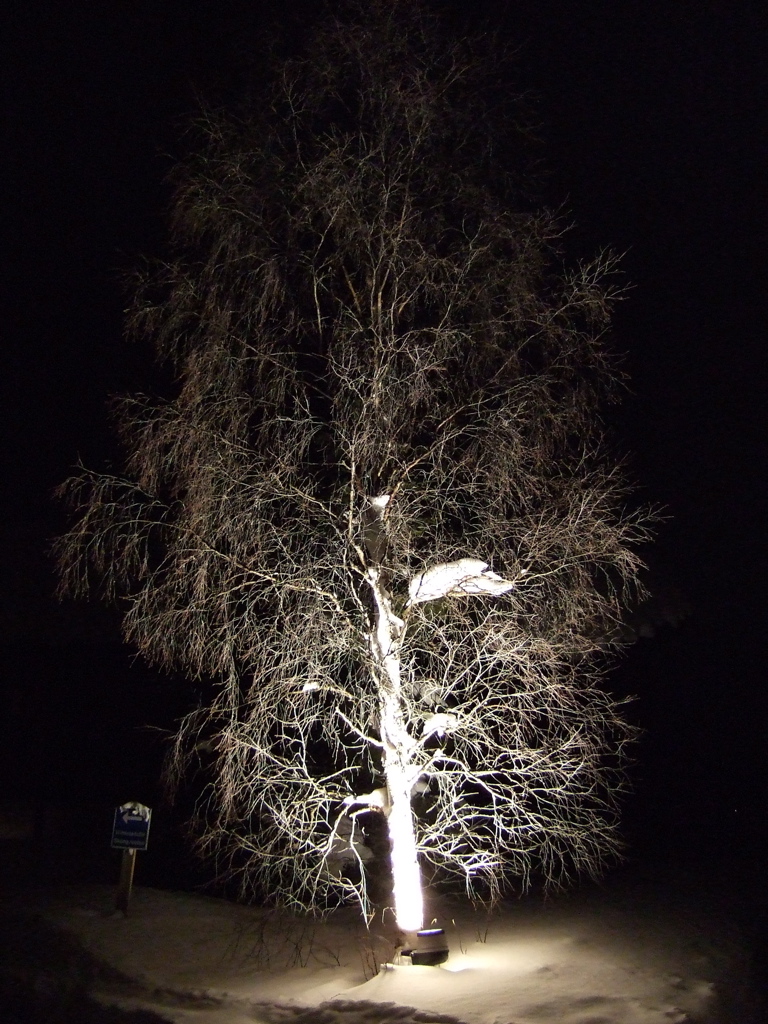 DSCF0248.JPG