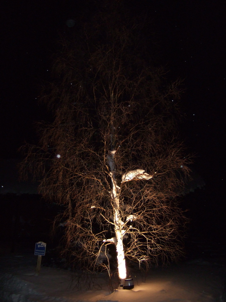DSCF0249.JPG