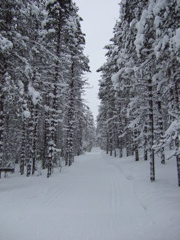 DSCF0234.JPG
