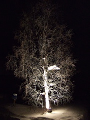 DSCF0248.JPG