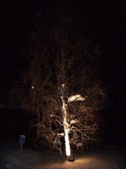 DSCF0249.JPG