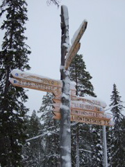 DSCF0243.JPG