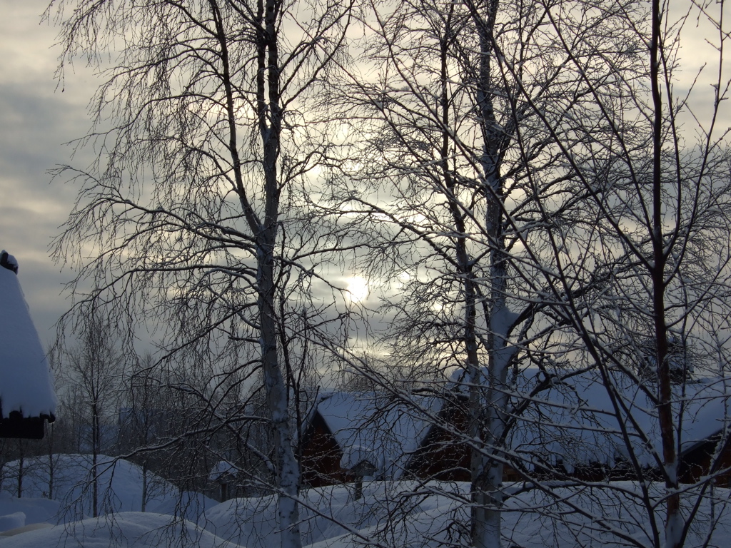 DSCF0252.JPG