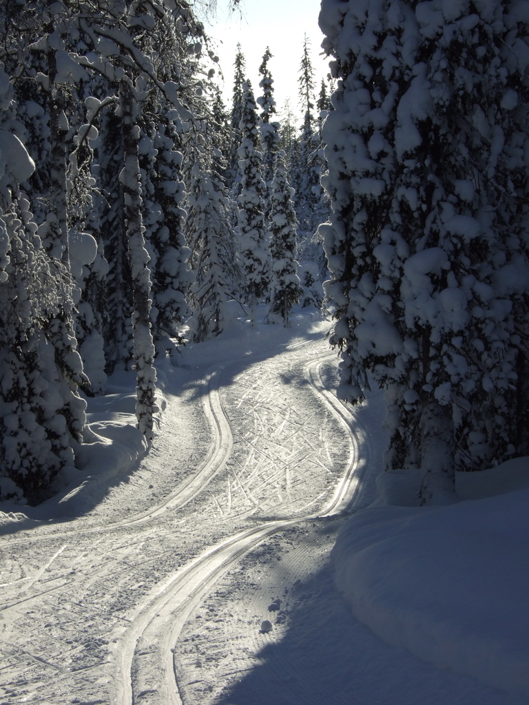 DSCF0267.JPG