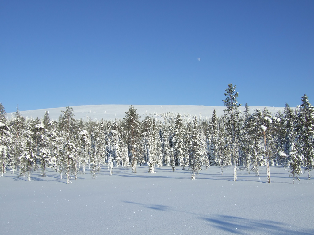 DSCF0268.JPG