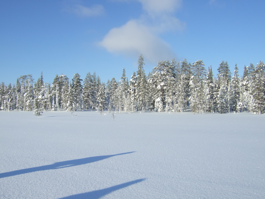 DSCF0269.JPG