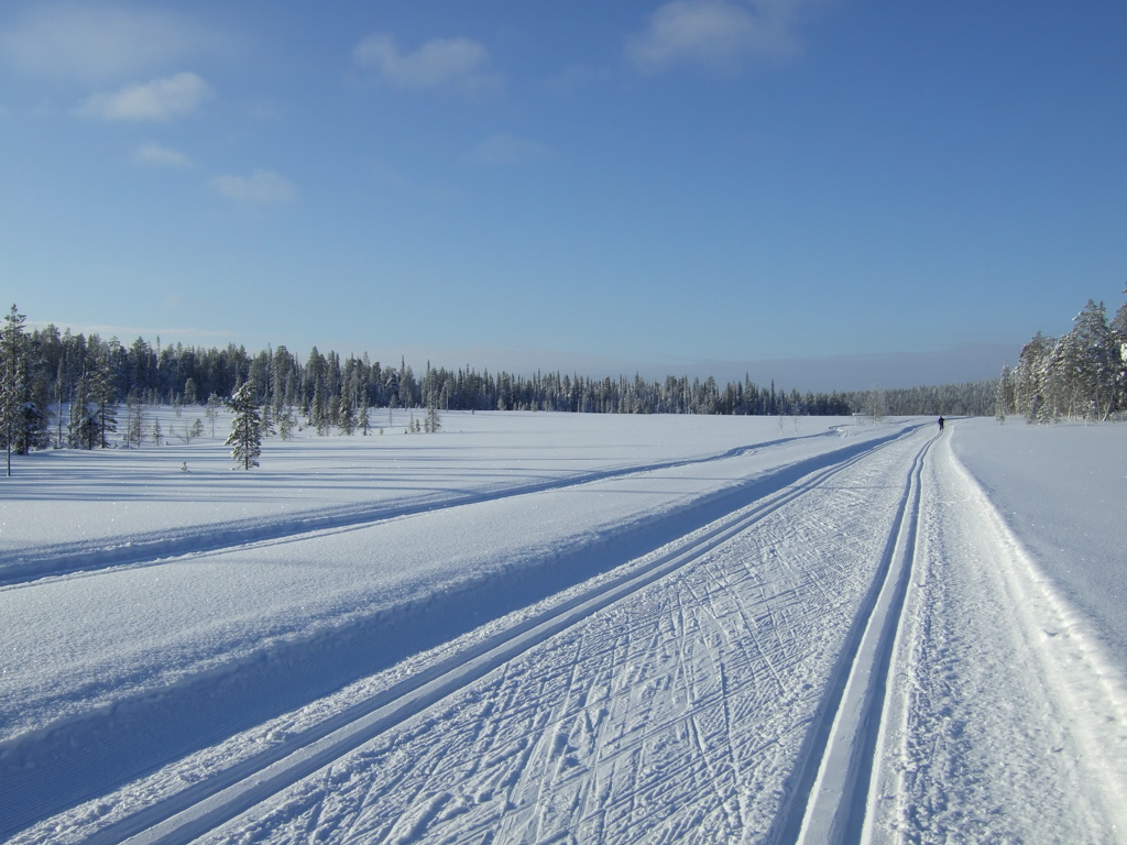 DSCF0270.JPG