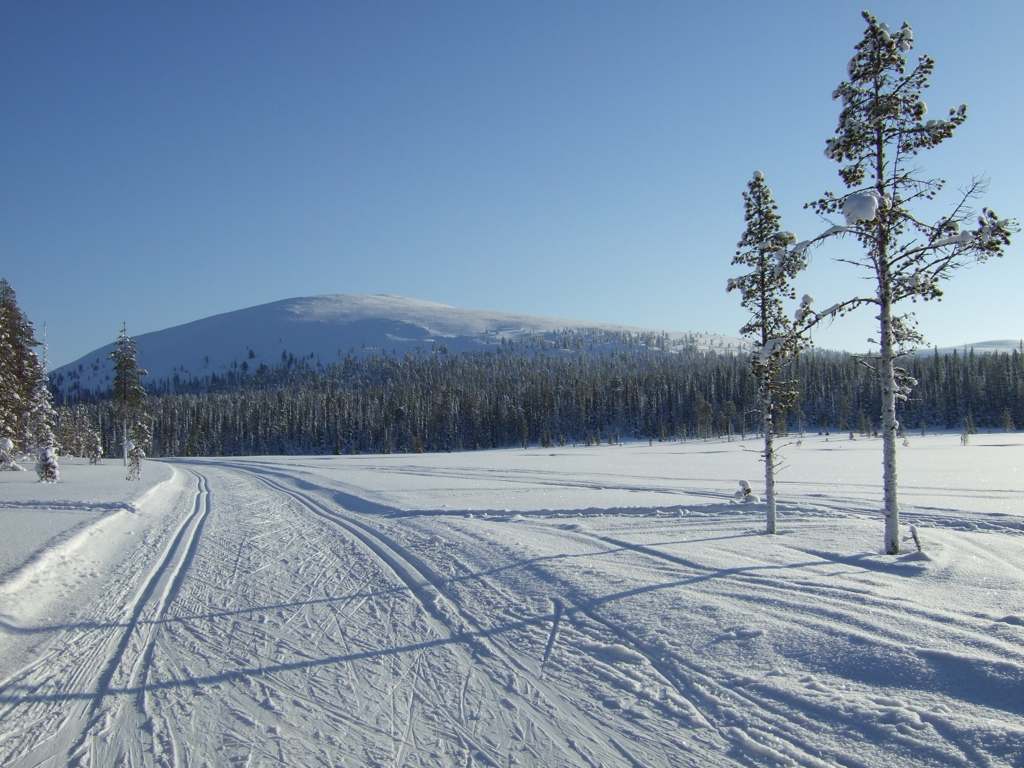 DSCF0274.JPG
