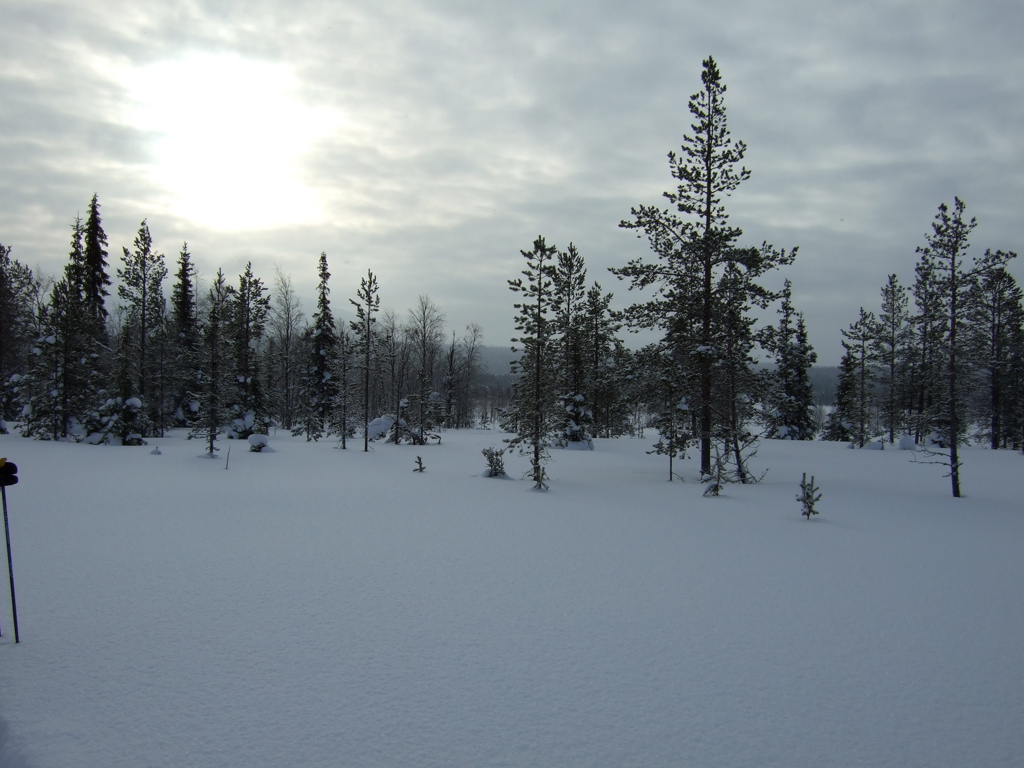 DSCF0256.JPG