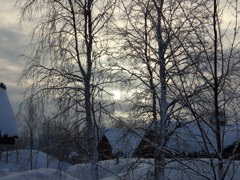 DSCF0252.JPG
