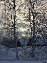 DSCF0253.JPG
