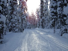 DSCF0262.JPG