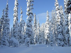 DSCF0266.JPG