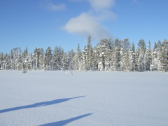 DSCF0269.JPG