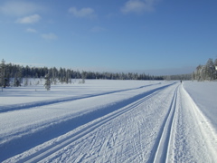DSCF0270.JPG
