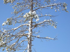 DSCF0273.JPG