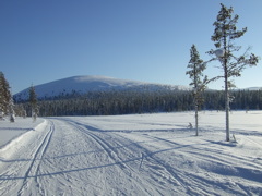 DSCF0274.JPG