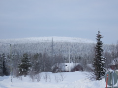 DSCF0254.JPG