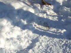 DSCF0278.JPG