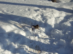 DSCF0279.JPG