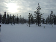 DSCF0256.JPG