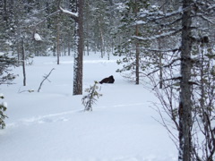 DSCF0260.JPG