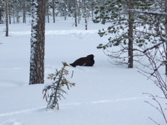 DSCF0261.JPG