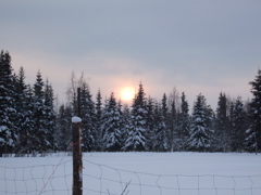 DSCF0287.JPG