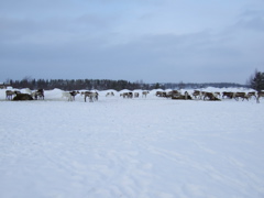 DSCF0282.JPG