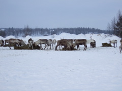 DSCF0283.JPG