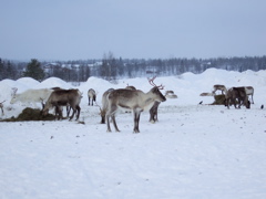 DSCF0284.JPG