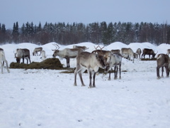DSCF0285.JPG