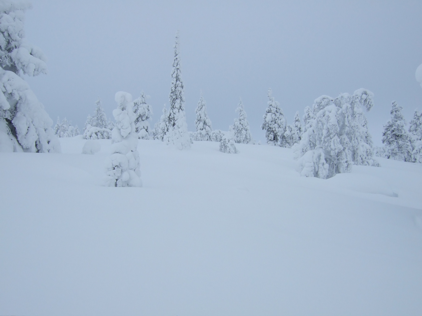 DSCF0294.JPG