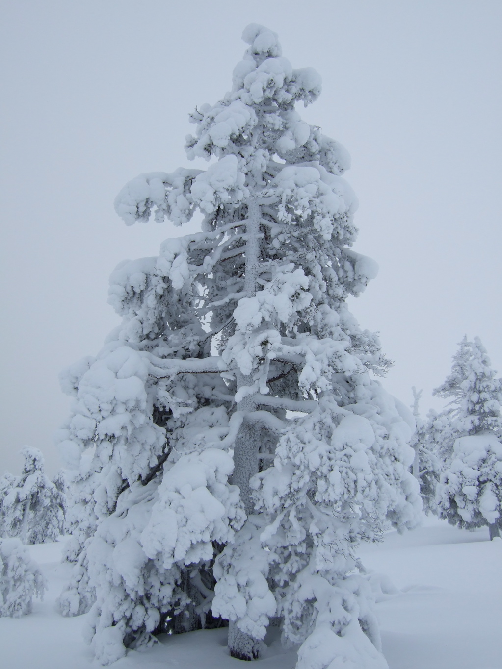 DSCF0295.JPG