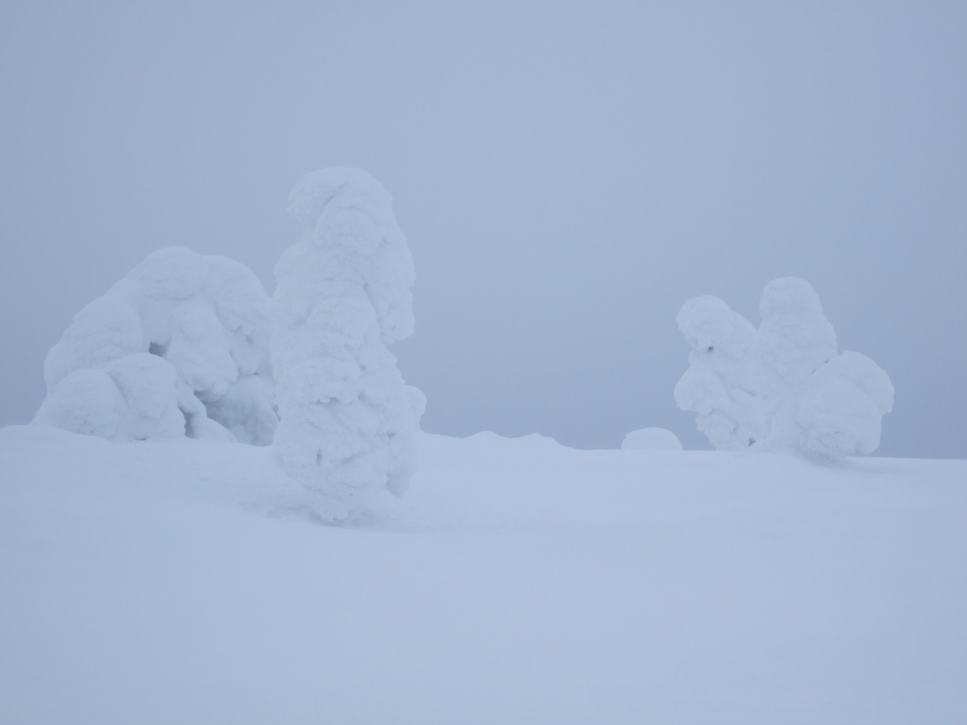 DSCF0296.JPG