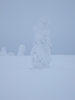 DSCF0297.JPG