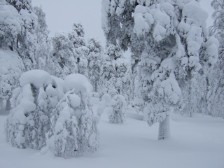 DSCF0291.JPG