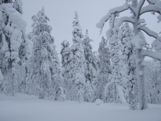 DSCF0292.JPG