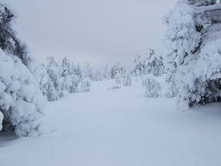 DSCF0293.JPG