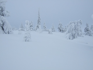DSCF0294.JPG