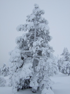 DSCF0295.JPG
